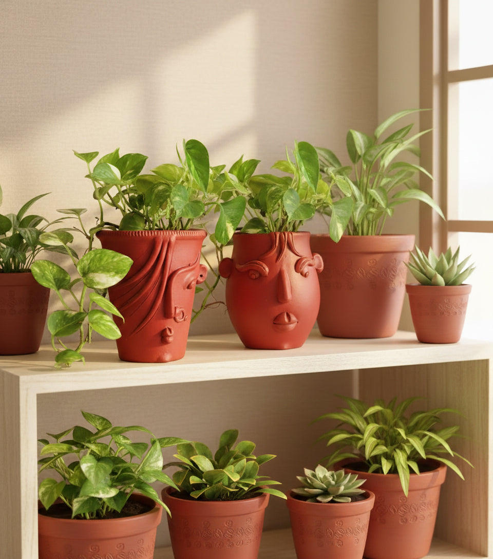 Planters and Garden Decors