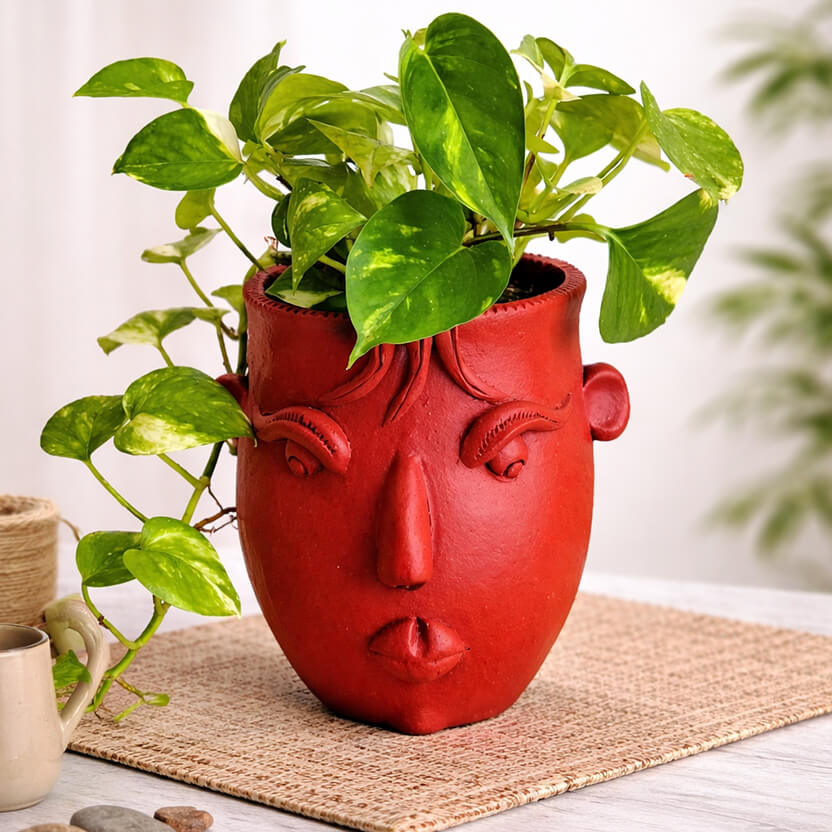 Male Face Planter